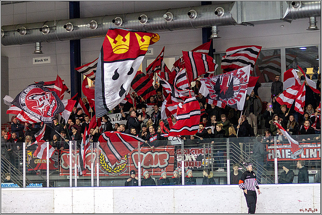 DNL-Playofffinale; Junghaie Koeln - Jungadler Mannheim, 20.03.2019